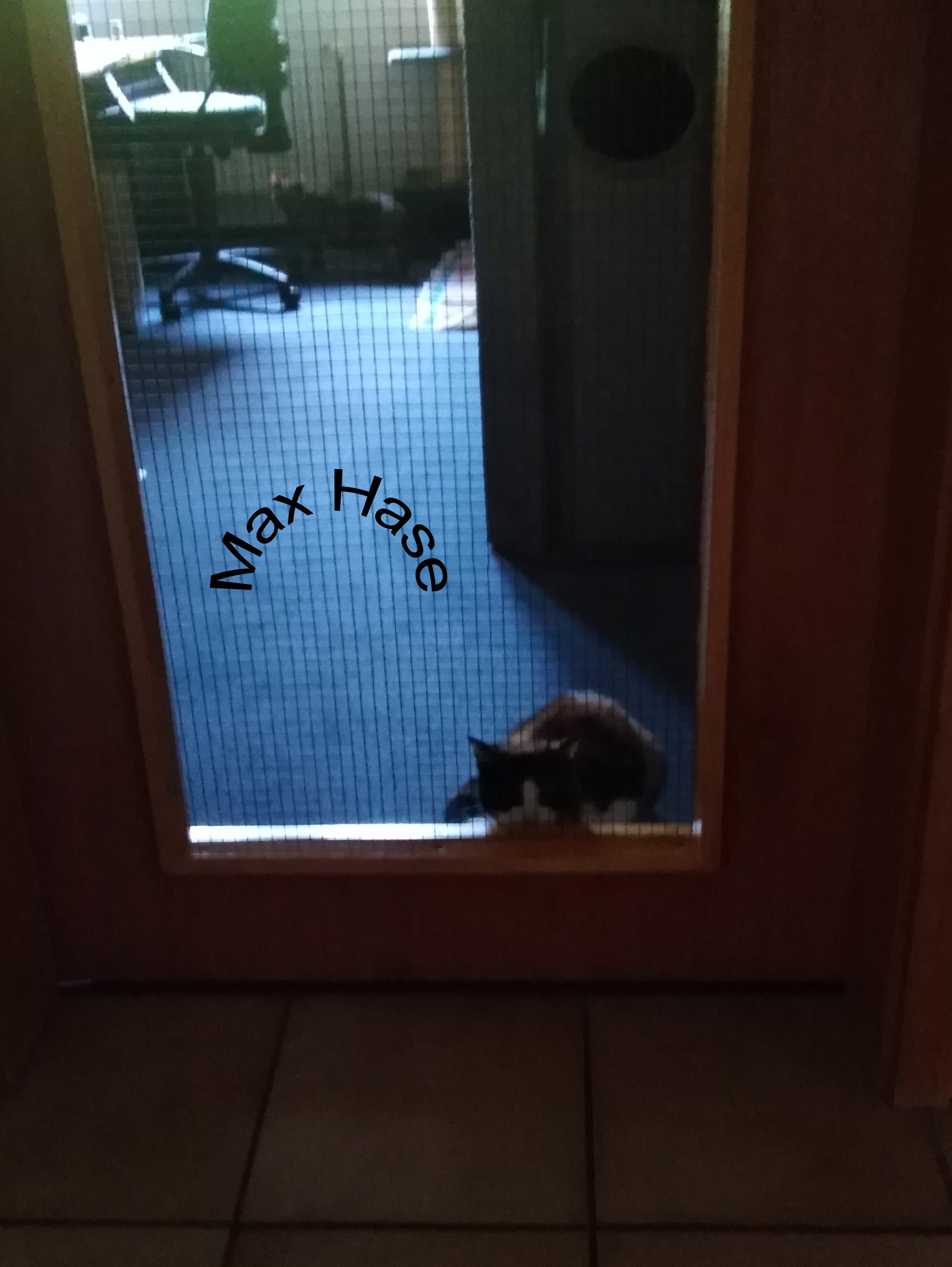 27NAsti-Gittertüre.jpg