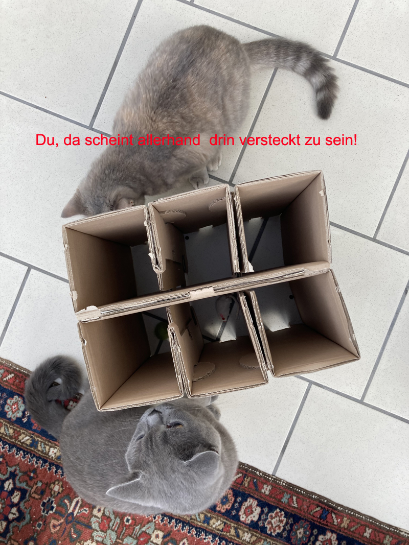 3.JPG
