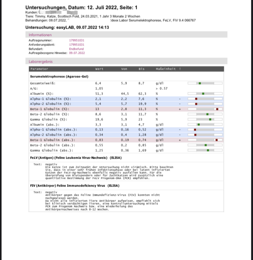 31CEA06E-71AC-4C4B-8D1F-34DE3302C915.jpeg