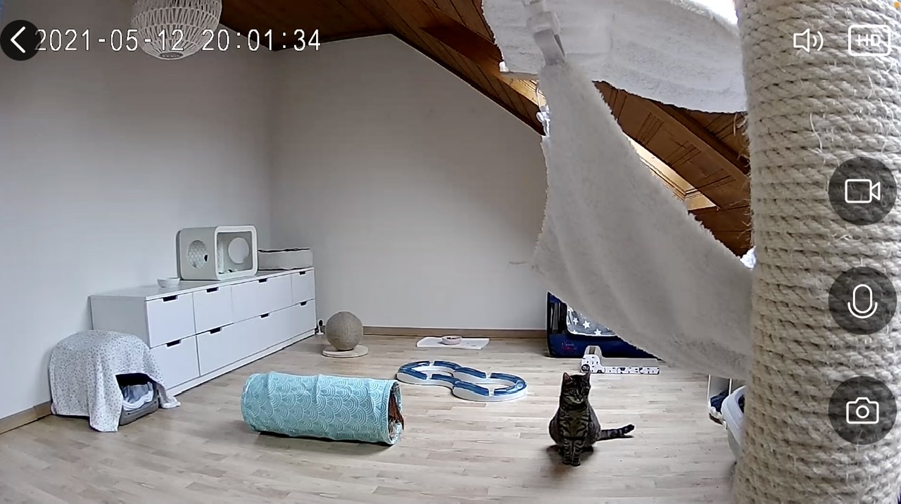 35F01251-D042-4E86-846D-1D6DFA4C2DB1.jpeg