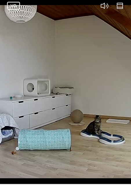 3BA65EA2-E238-47AB-9ED2-DCBB52842AAC.jpeg