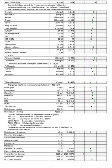 53CBFB1F-ECCB-4FF5-B238-728822095A82.jpeg