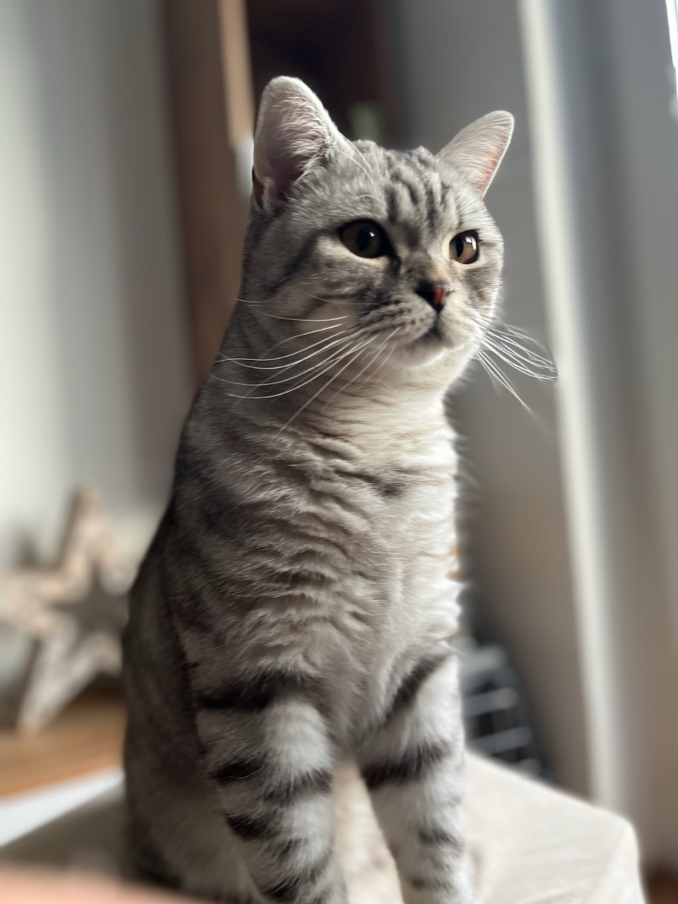 56257E31-08DC-45CD-8035-6FEF966BC5E0.jpeg