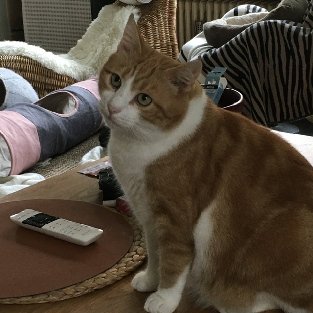 5B775B4F-0C9D-4CAA-A043-816525B3397A.jpeg
