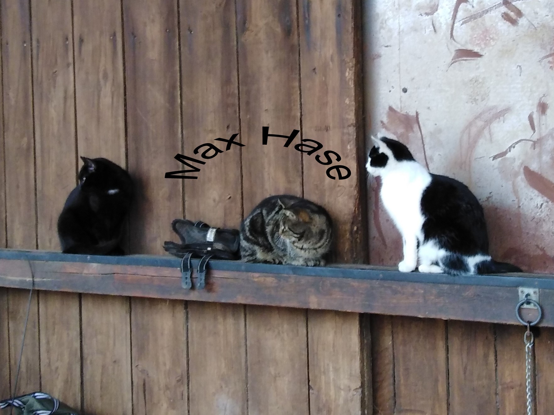 61Trio.jpg
