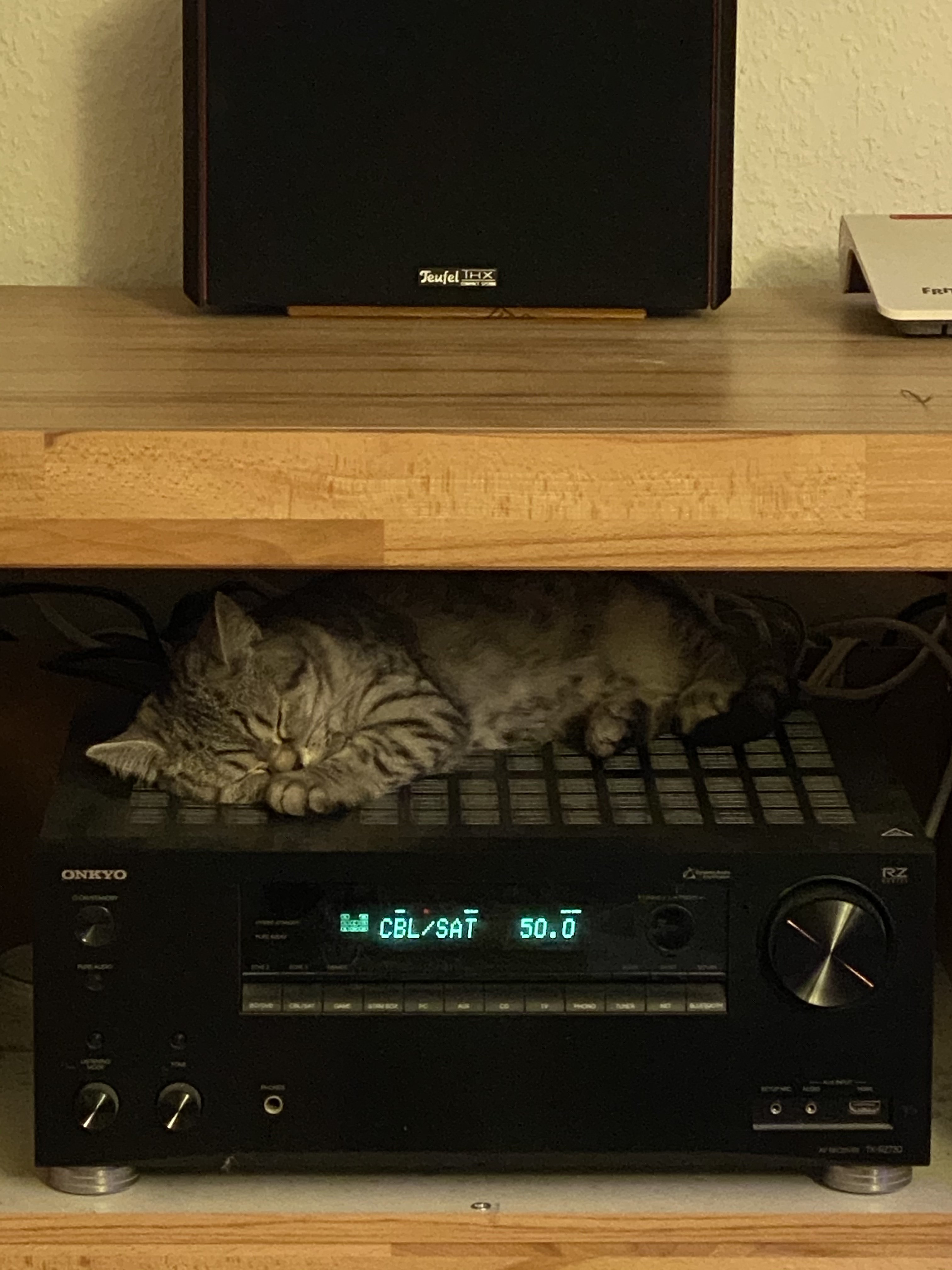 66CB977C-A4F0-4711-BD02-18AD1044E4AB.jpeg