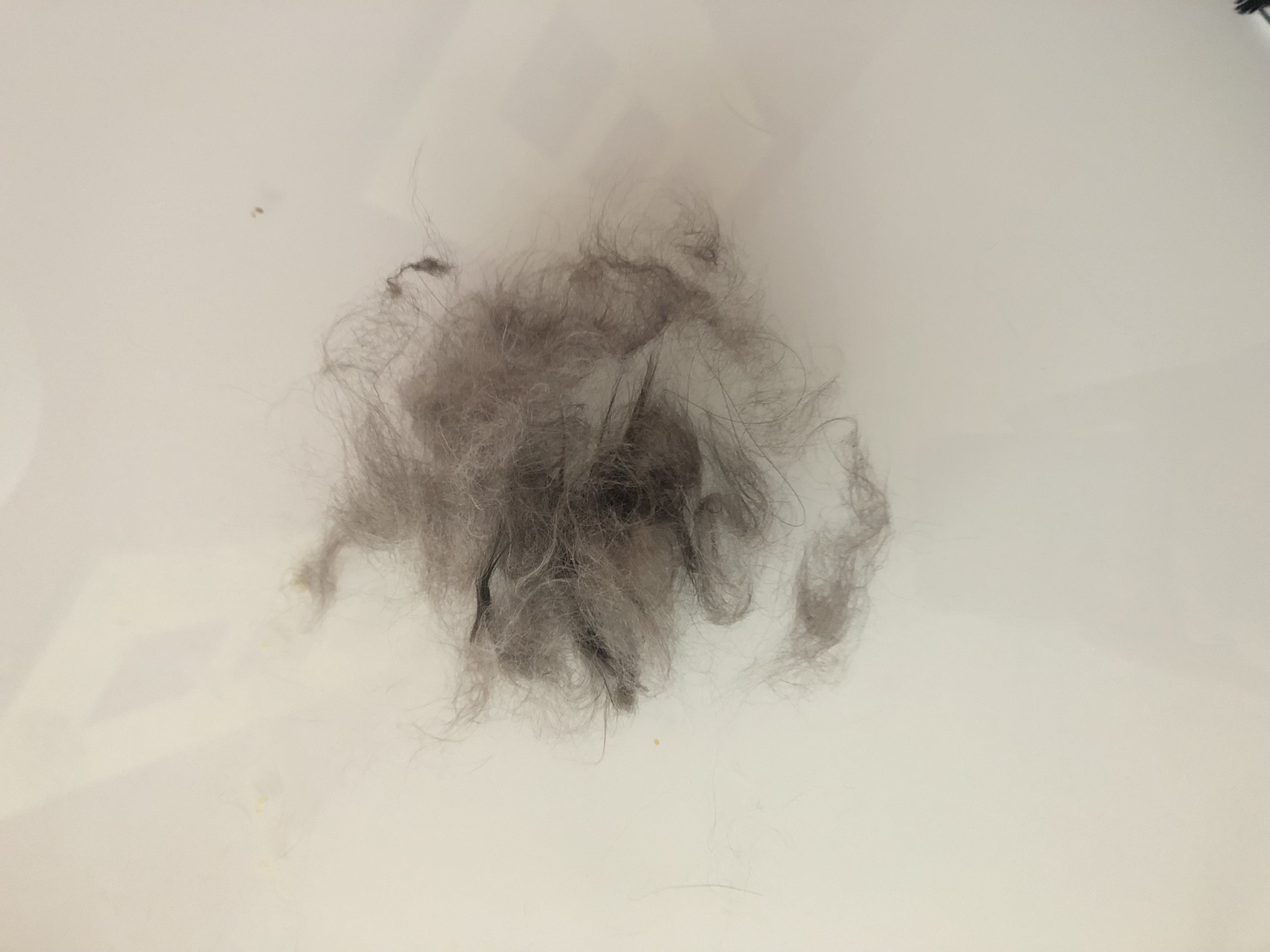 6B68CE2F-C980-44F6-92AB-9823BF464F67.jpeg