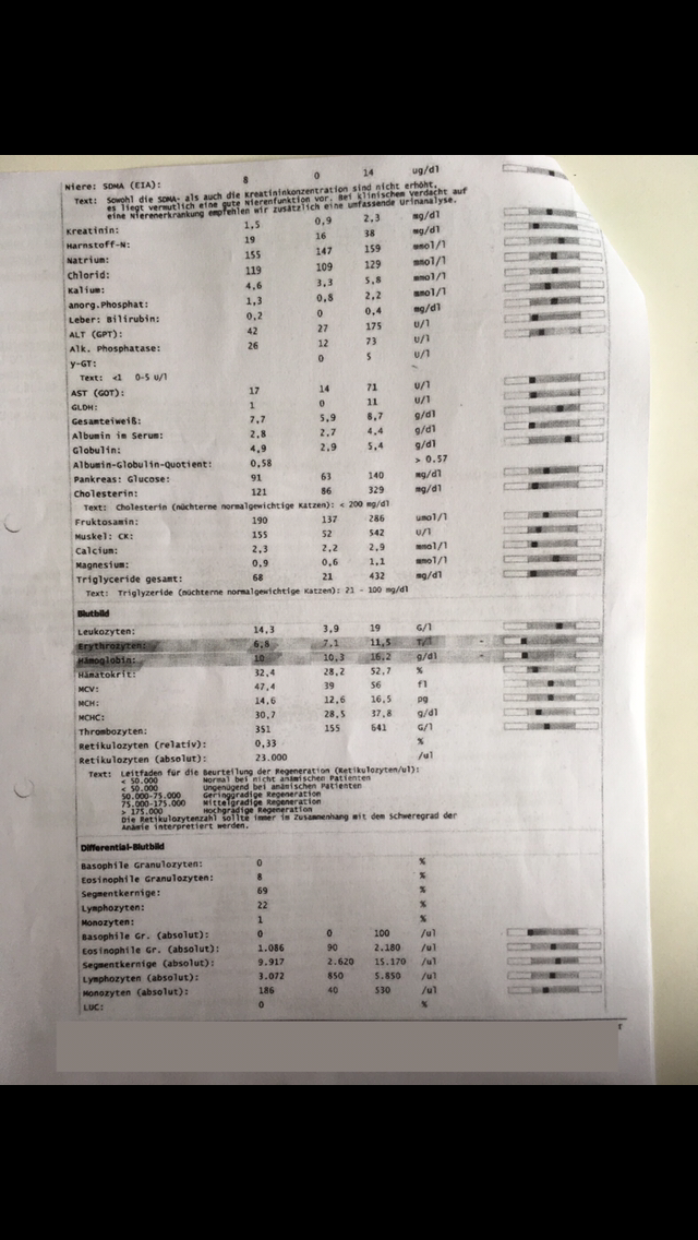 7086B97E-469B-422B-977D-612D6BED02E3.png