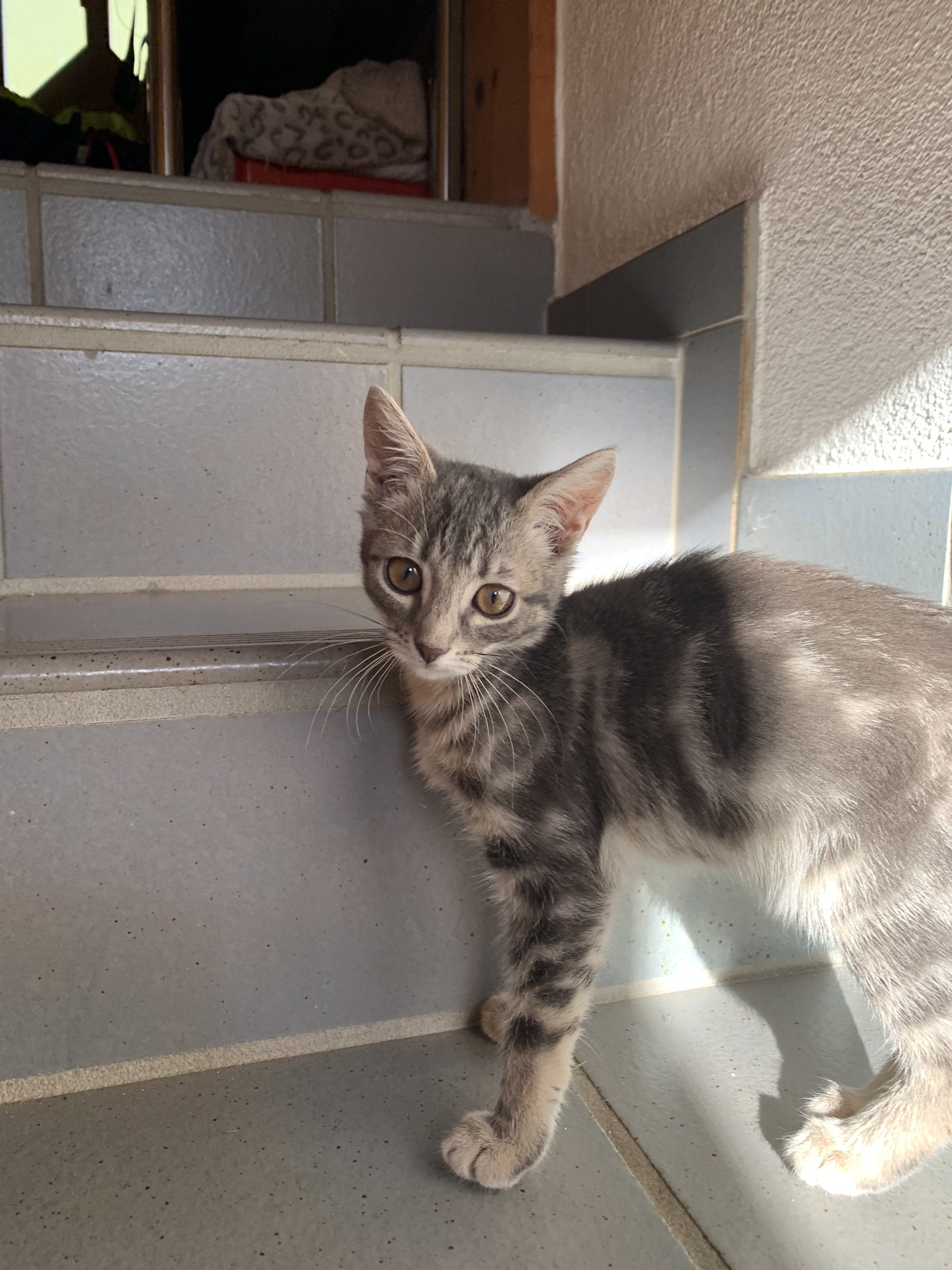 73B31234-D04C-4F84-ACF2-C12DD8F27021.jpeg