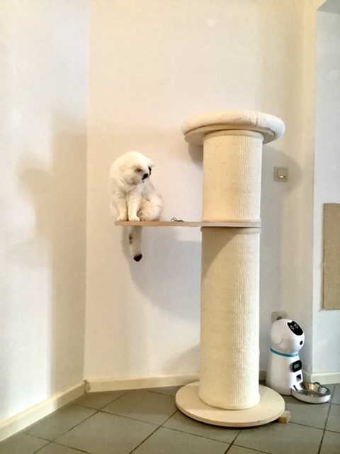 7561F1E8-5F91-4B4C-A299-5F782AC5D864.jpeg