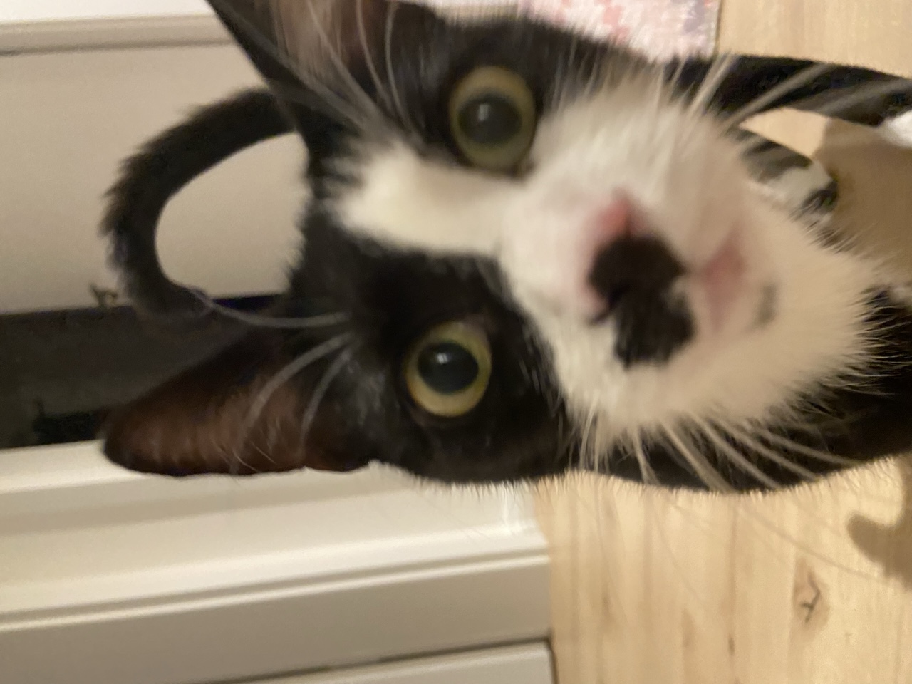 757F199A-59A5-4262-B099-D3D31F0E3177.jpeg