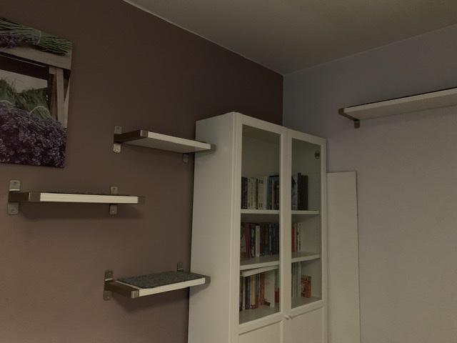7606DDA2-ADD0-43E0-AA97-800F1153C07C.jpeg
