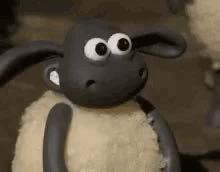 77A50C60-AF50-42CE-8338-53C05C33C7E9.gif