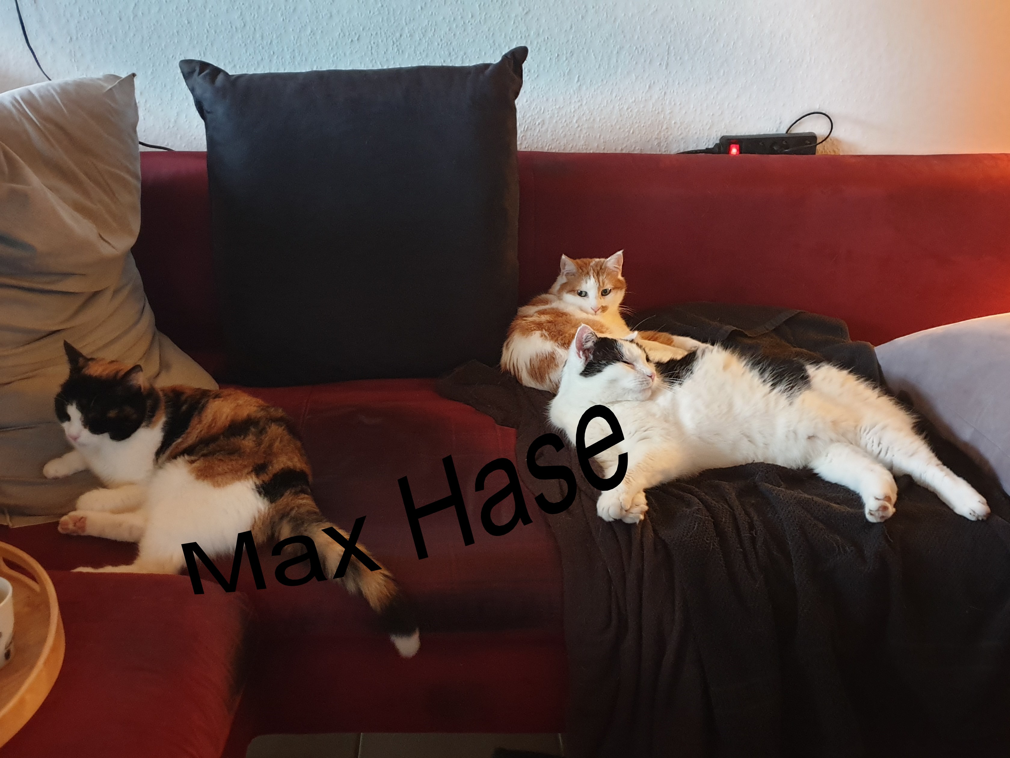 88Trio.jpg
