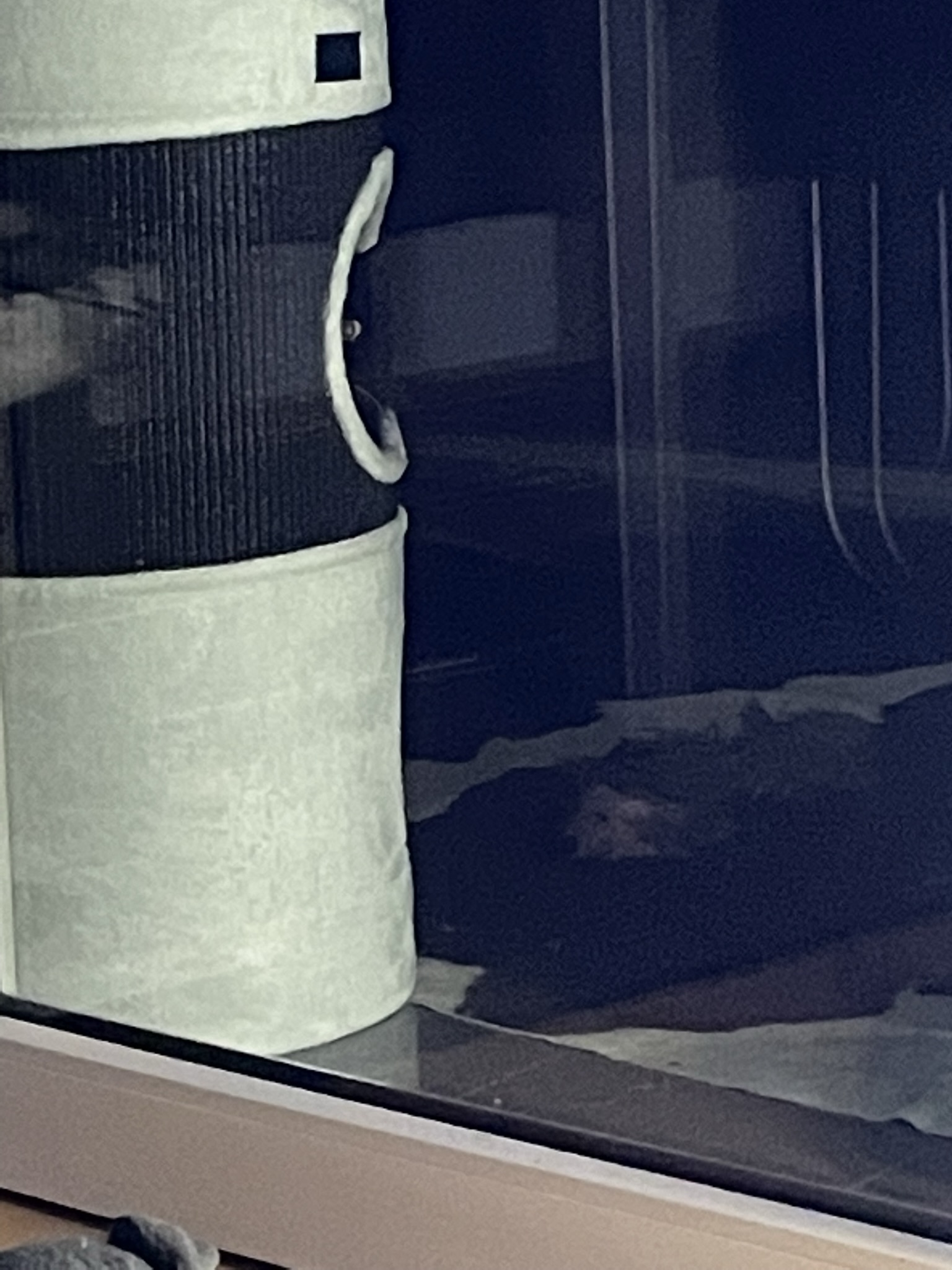 8EDDACFE-F414-4922-A2D9-9E348469A986.jpeg