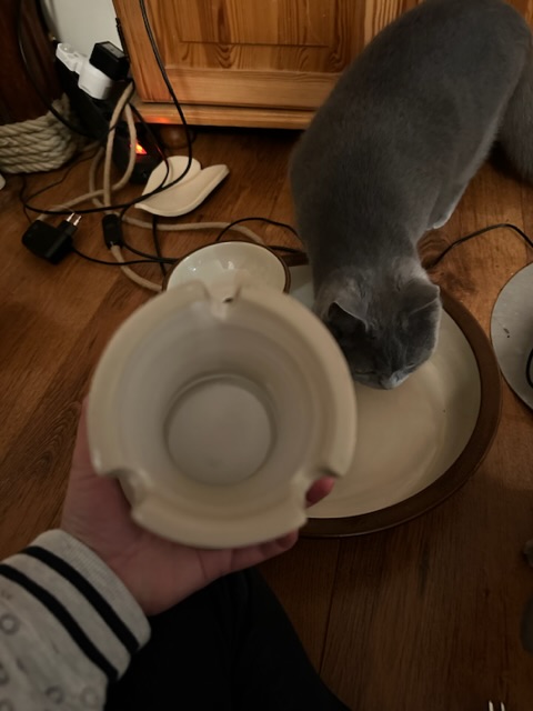 92F41B9A-6B79-4EC9-A001-C813D19282D0.jpeg