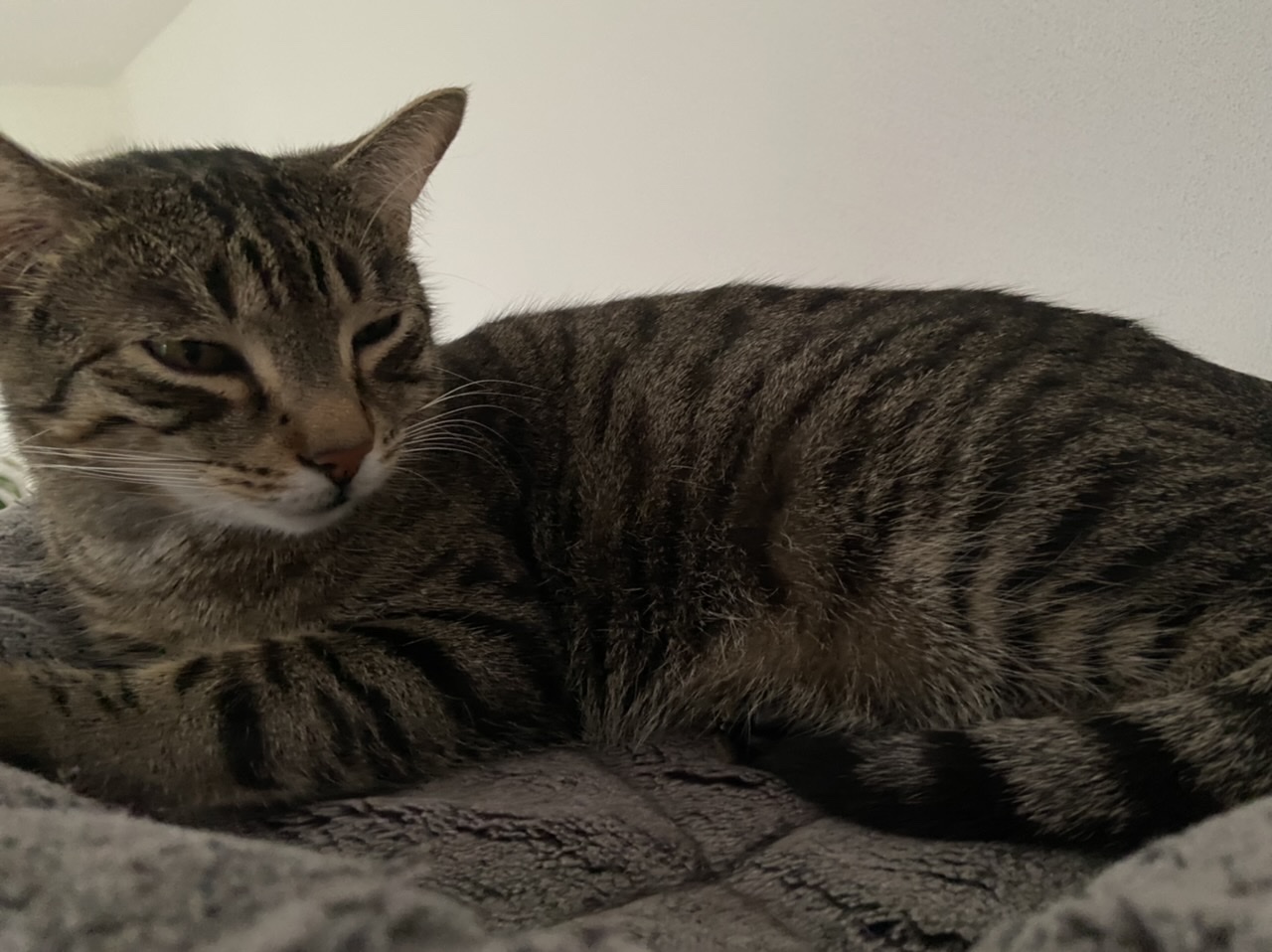 AD8A3313-39E1-460F-9AC6-25F32CF64D39.jpeg