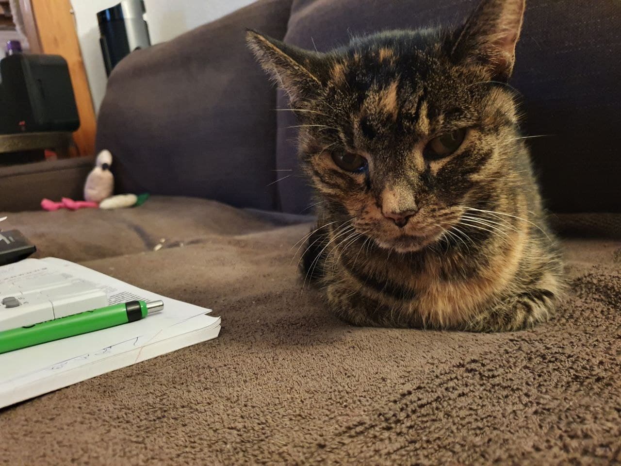 Amy18.jpg