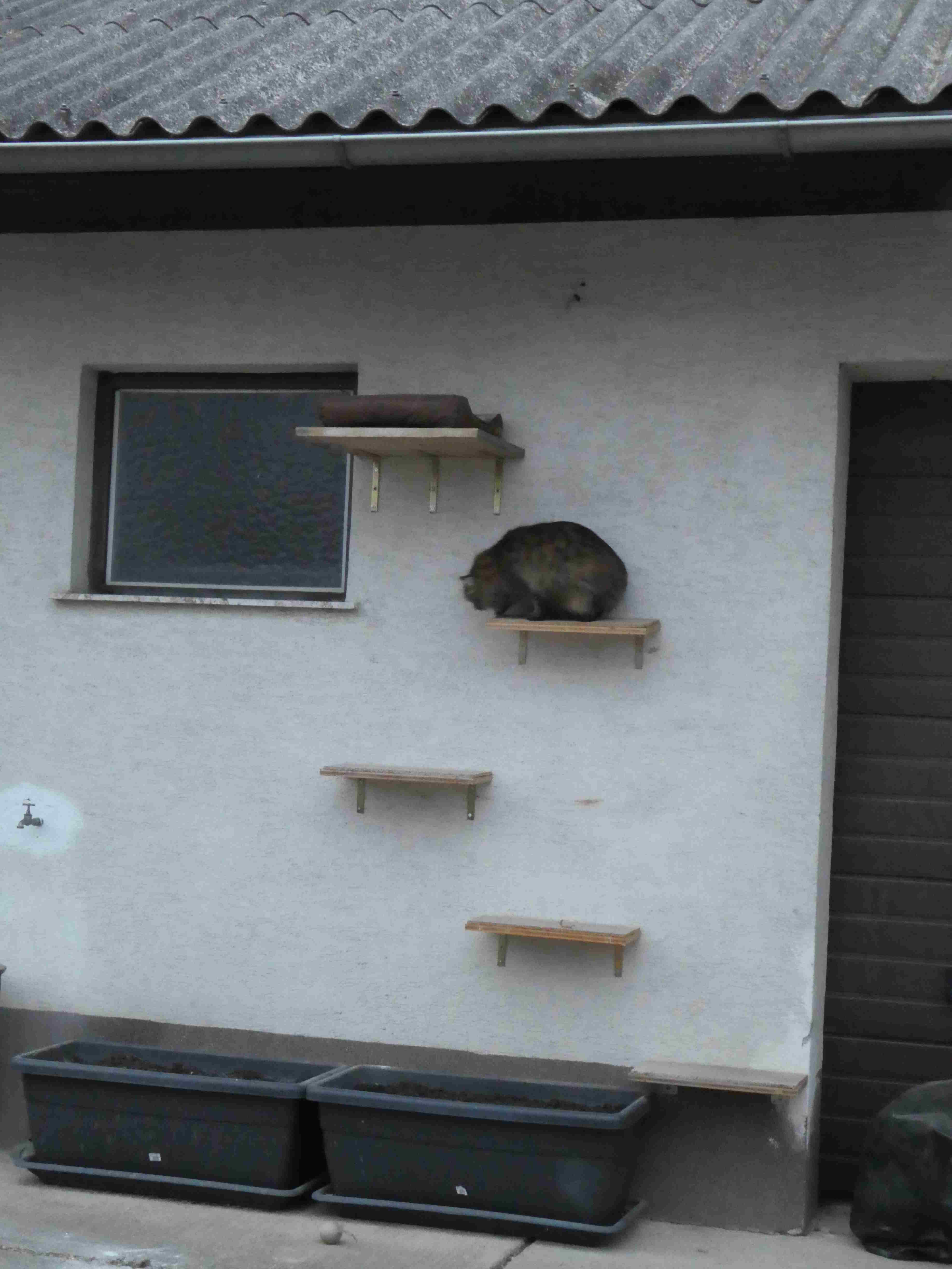 Aussentreppchen.JPG
