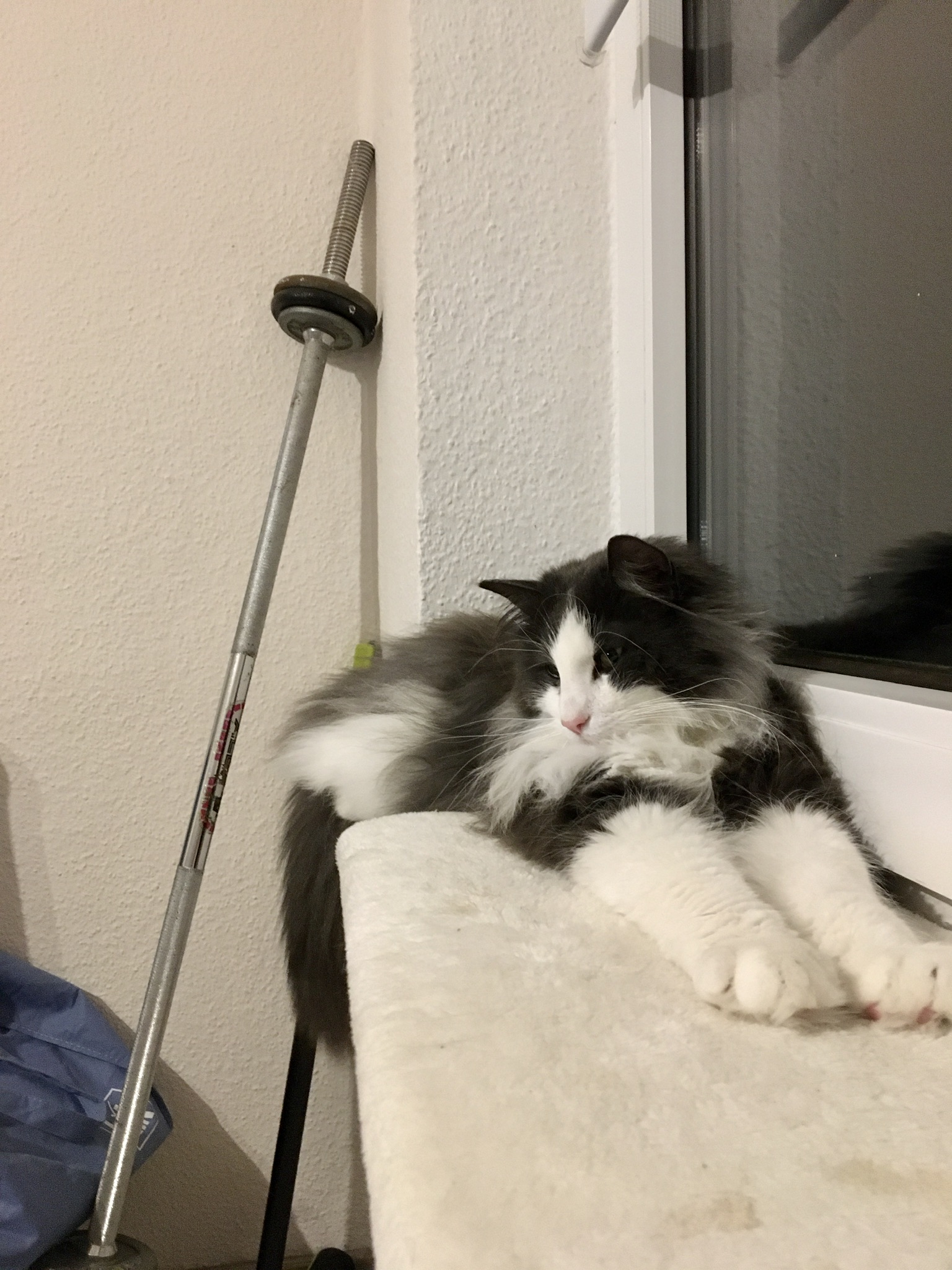 B016C778-949A-4434-9326-5061E0D5DBCE.jpeg