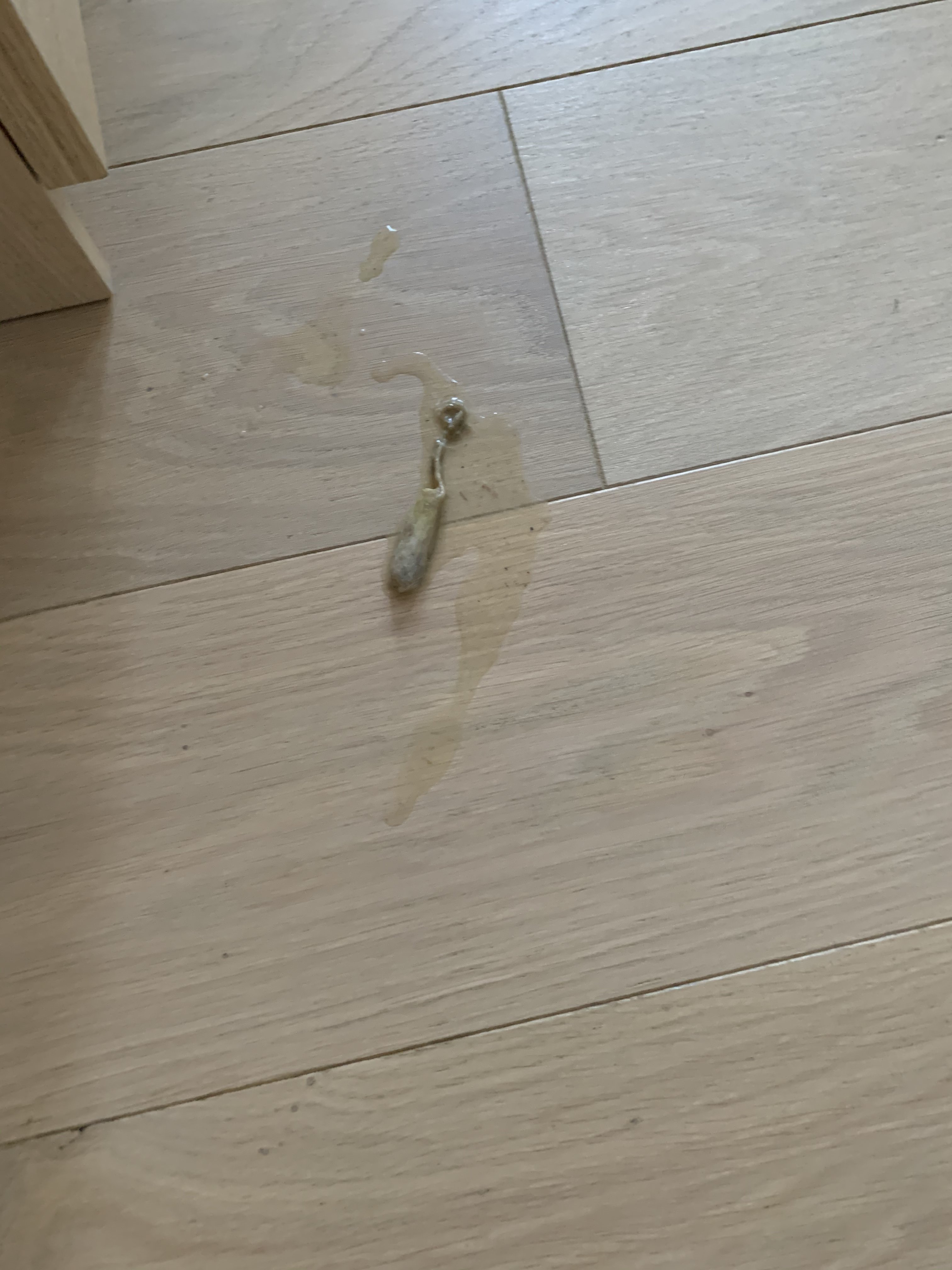 B0237F42-6A04-411B-A517-AA8680E9B0FC.jpeg