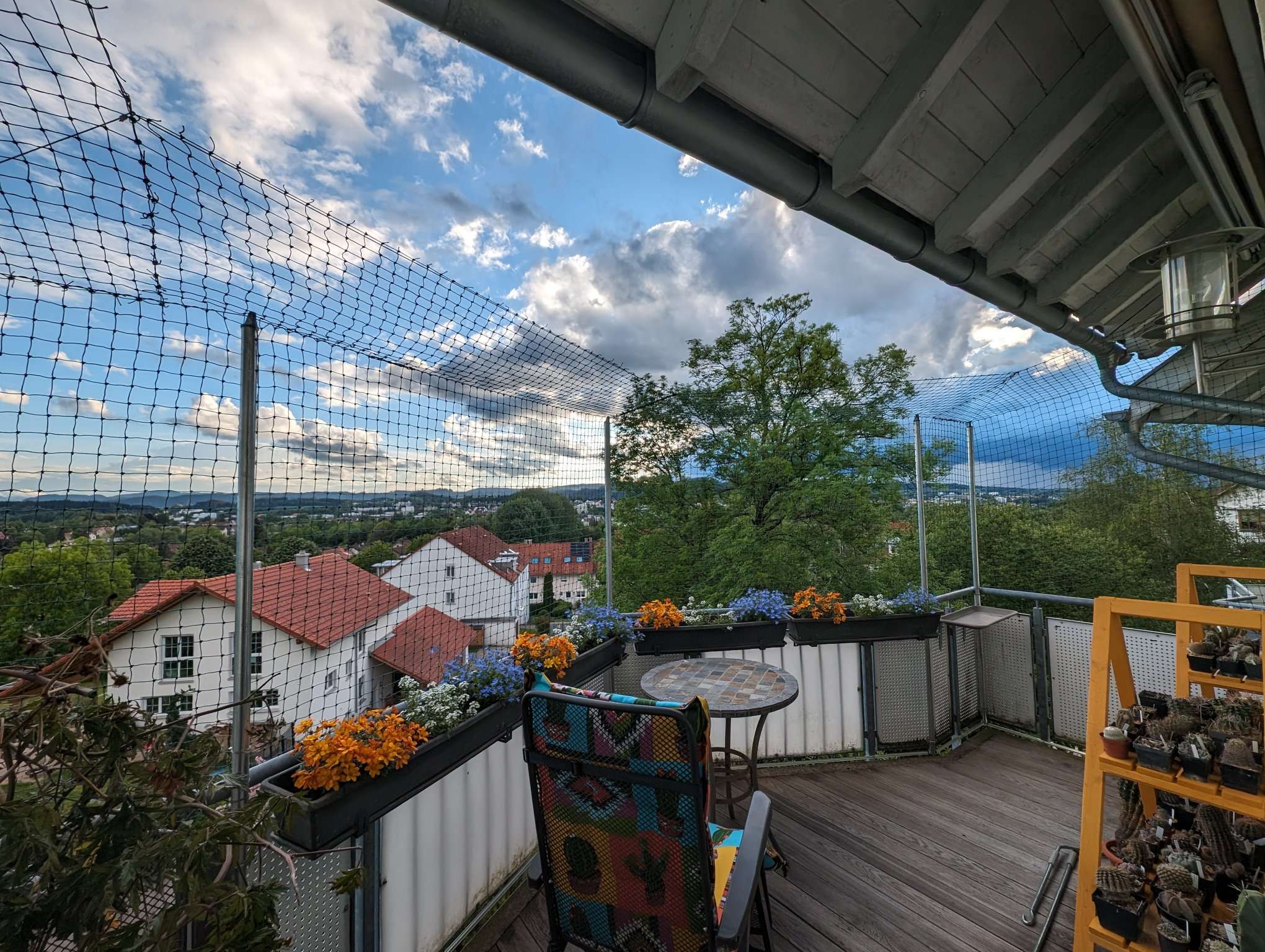 Balkon-2024-Mai-22_A.JPEG