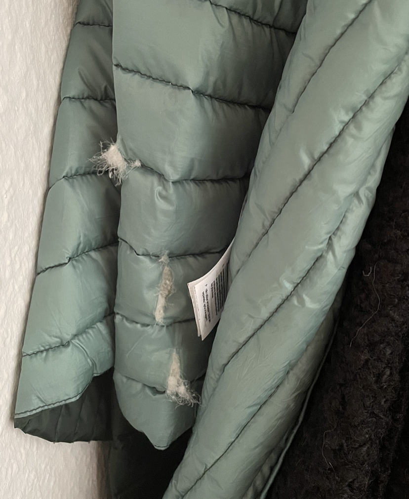 BED23717-913B-4072-A2F9-FA6D4D31B5F3.jpeg