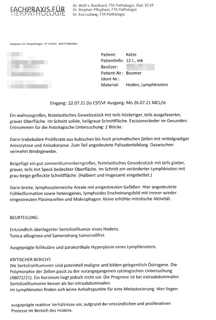Bild1.jpg