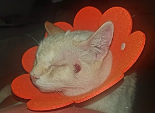 Bild1.jpg