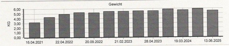 Bildschirmfoto 2025-06-16 um 19.56.45.JPG