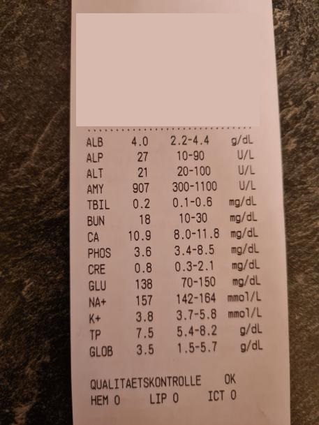 Bluttest März c.jpg