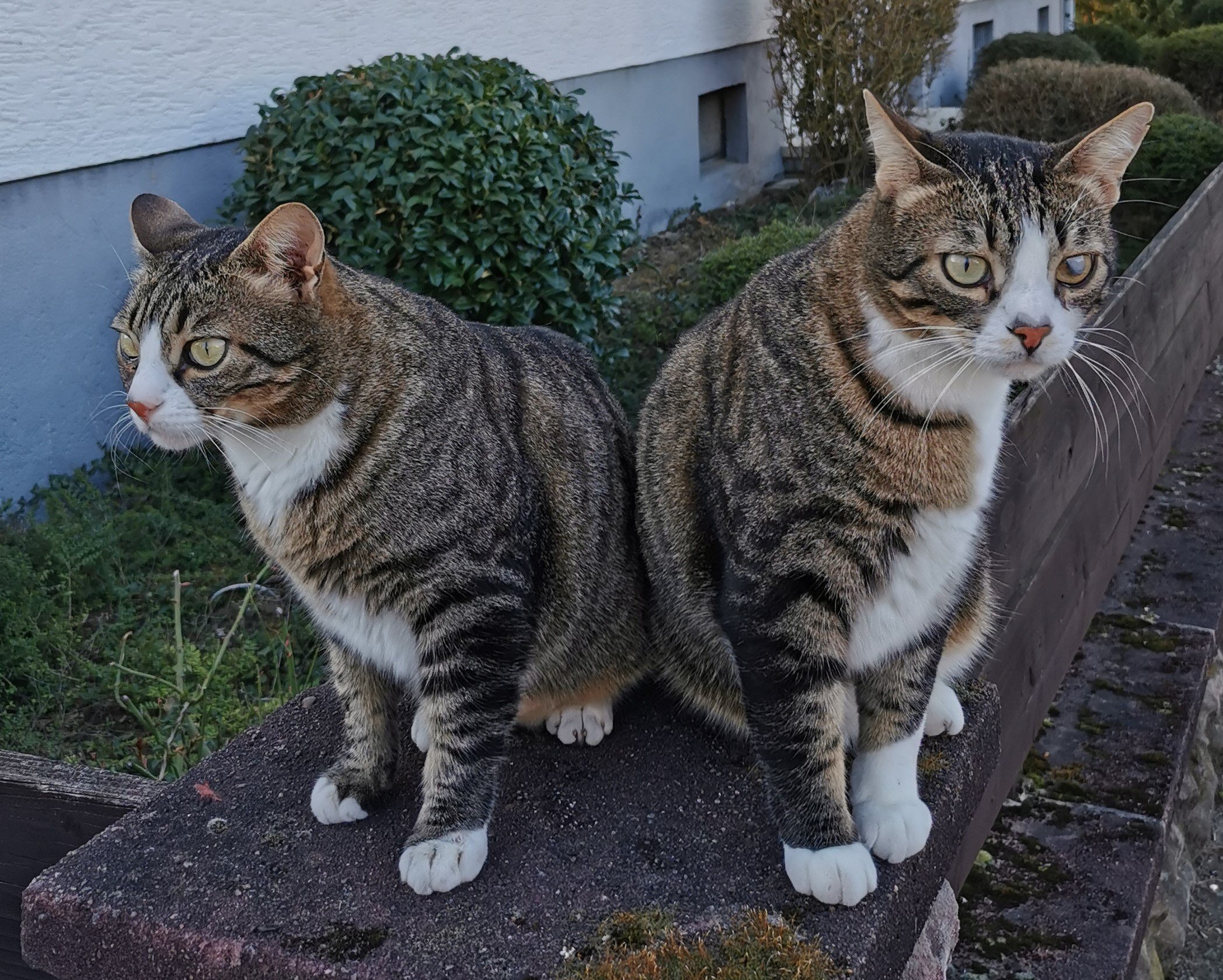 Brüder_2021_3.jpg