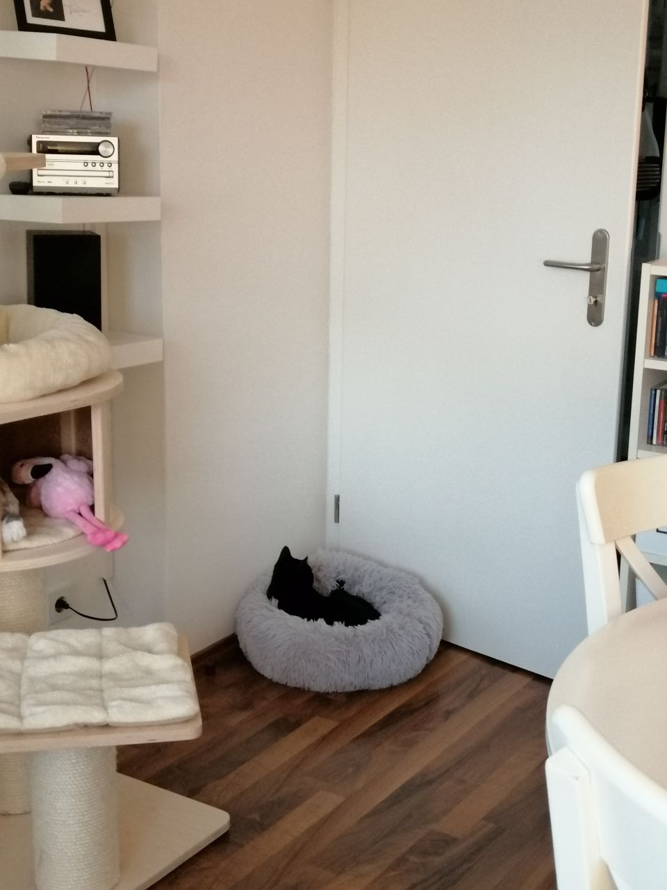 c1_20221024_18150461.jpeg