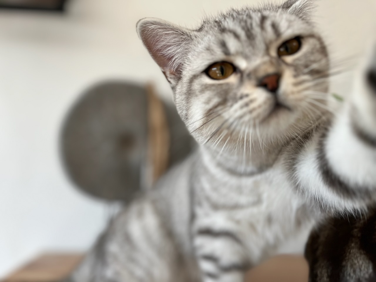 C30F5247-80B4-4D72-81FE-82F1066186EA.jpeg