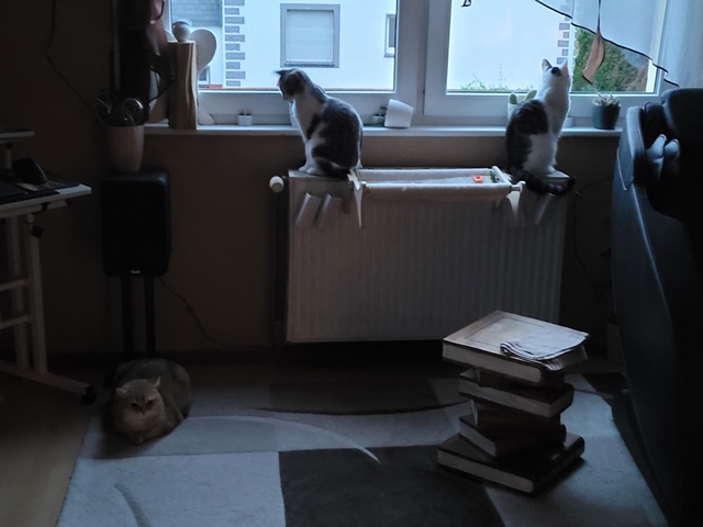 Chillen.jpg