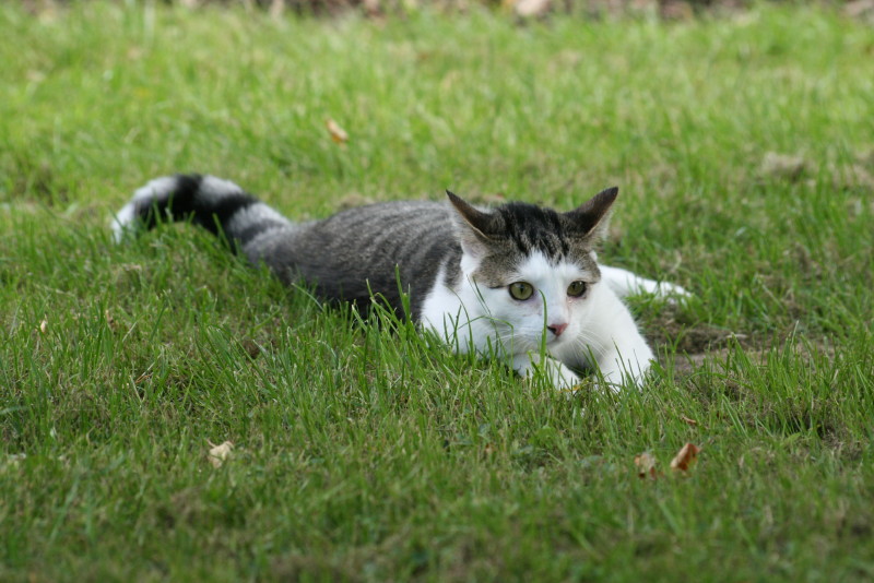 CS_20110710_13517_3.JPG