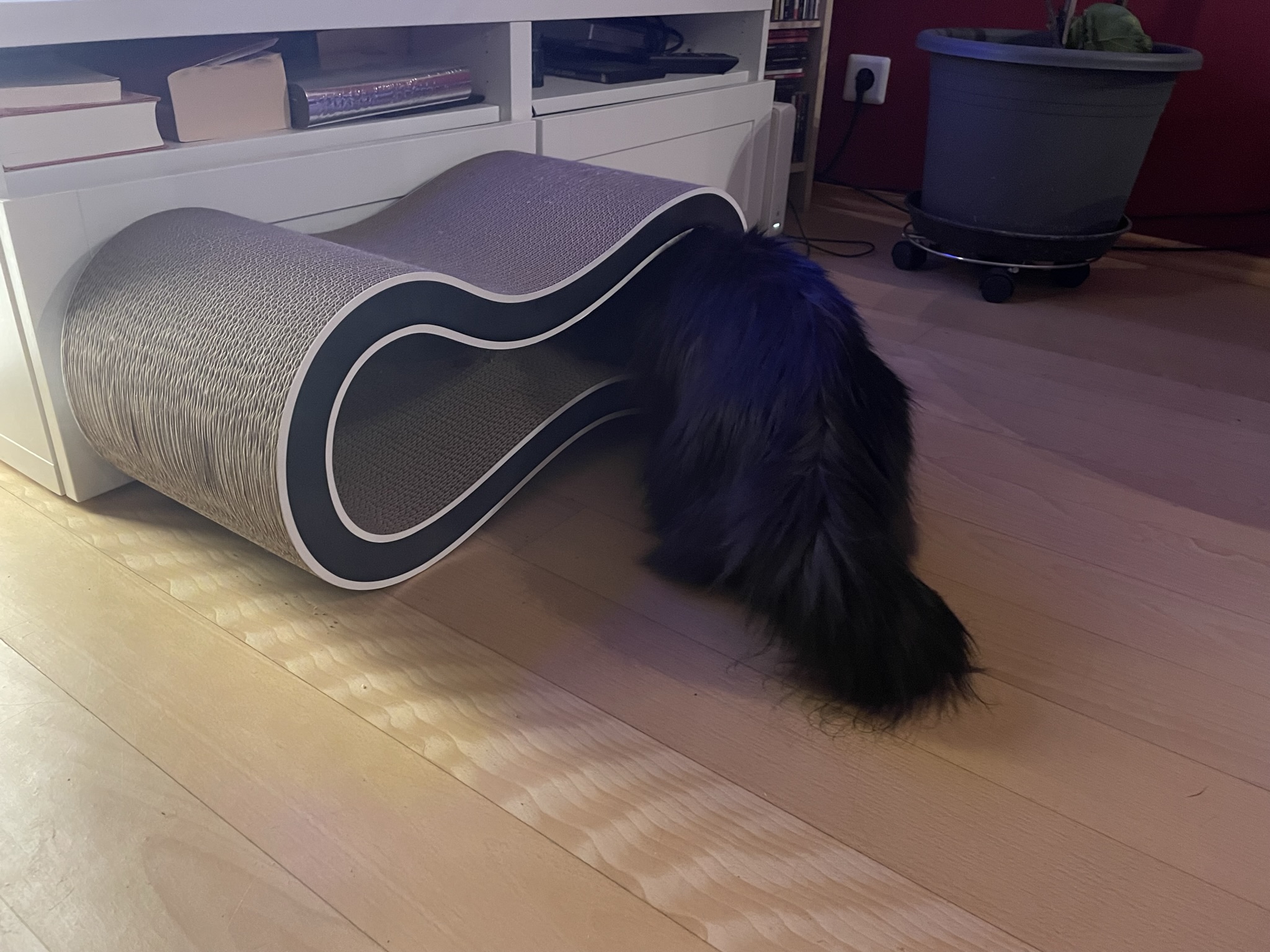 D2F06320-D270-49E8-9BBC-C9D739B04C45.jpeg