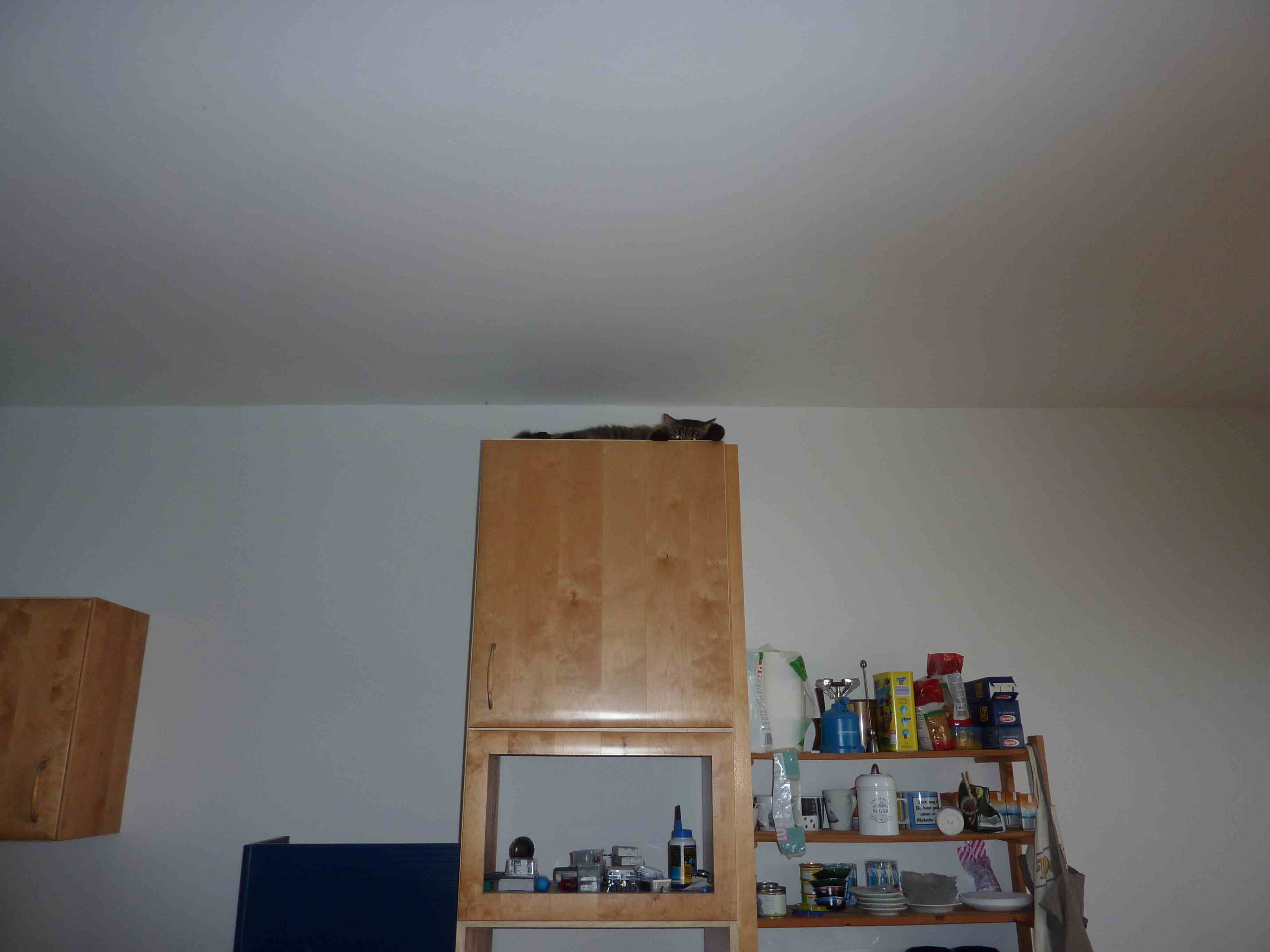 Da isser.JPG