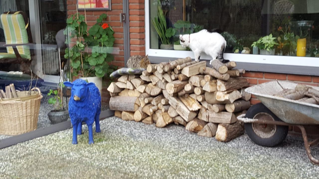 der_fremde.JPG