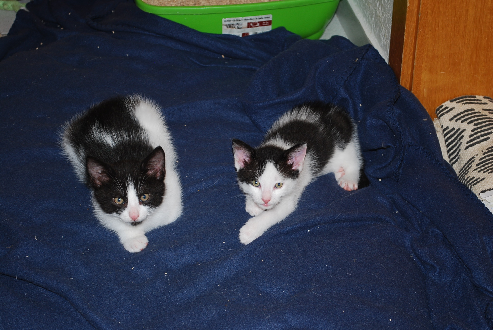DSC_0416.JPG