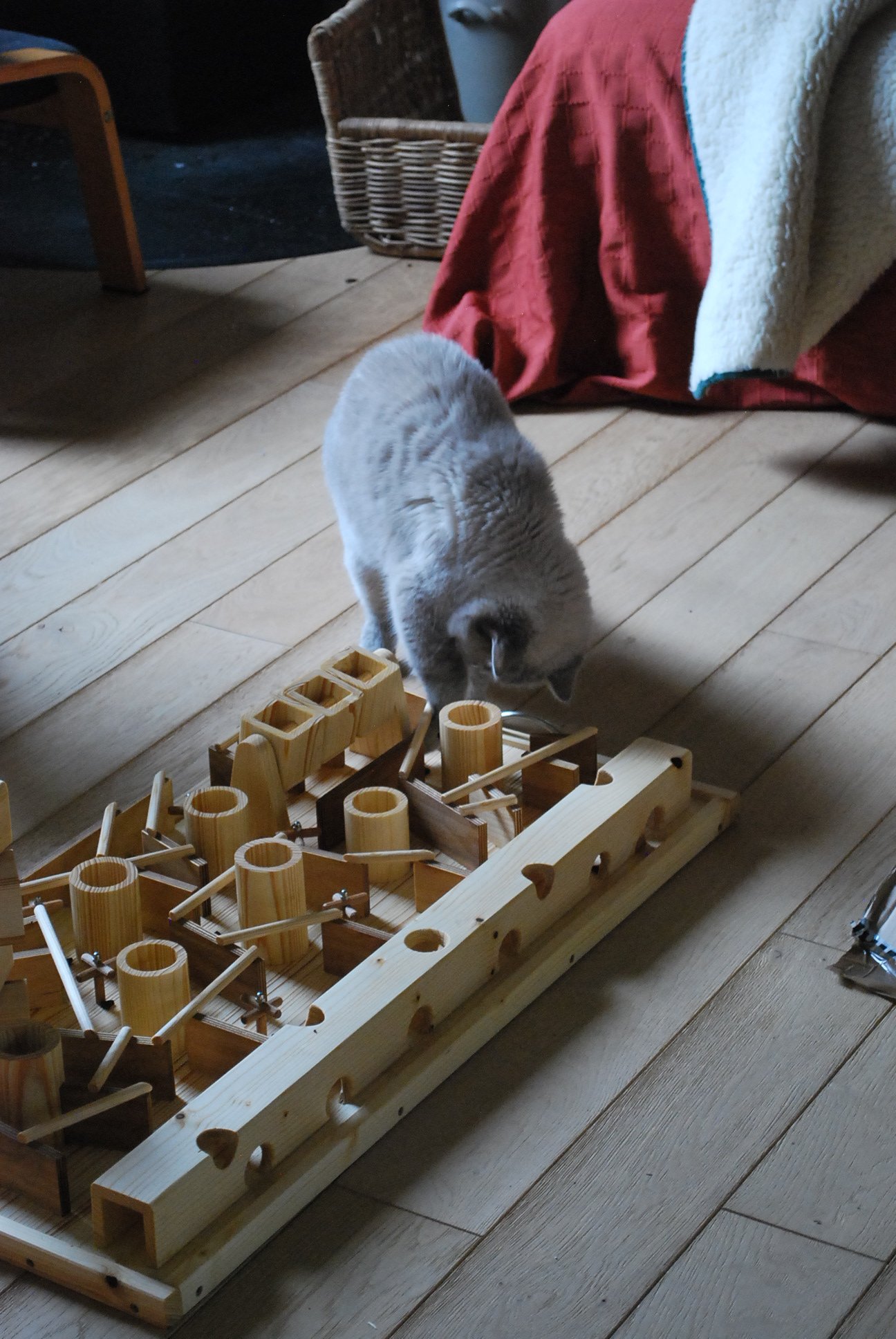 DSC_0417.JPG