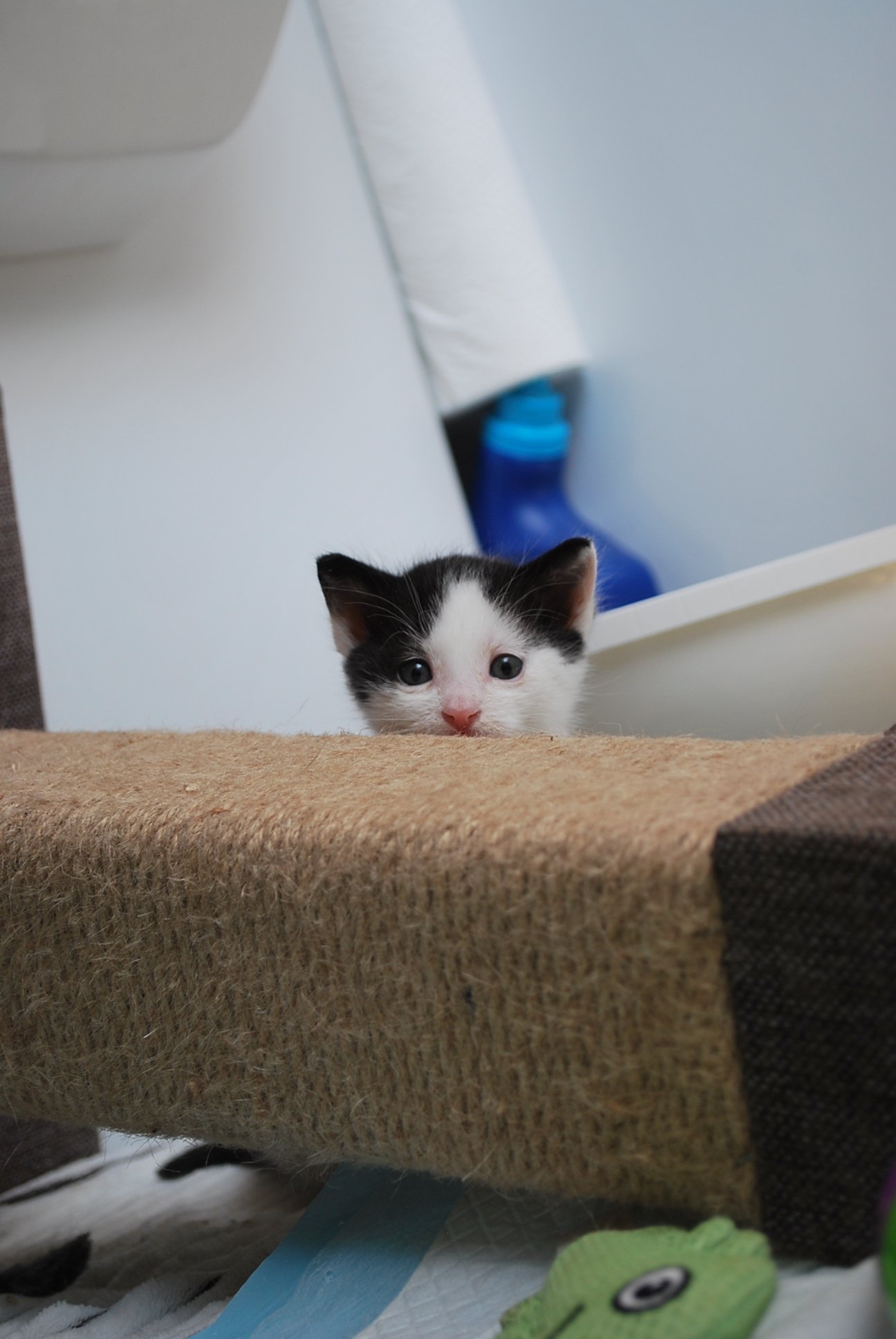 DSC_0465.JPG
