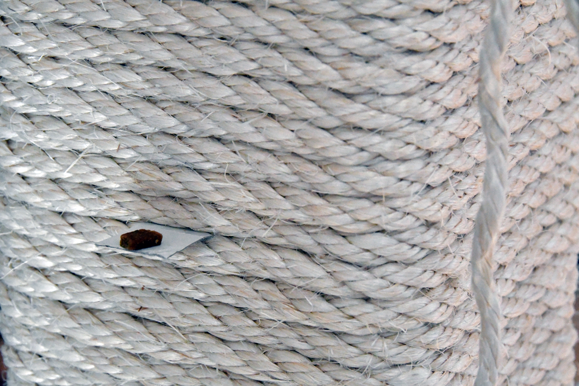 DSC_1877.JPG