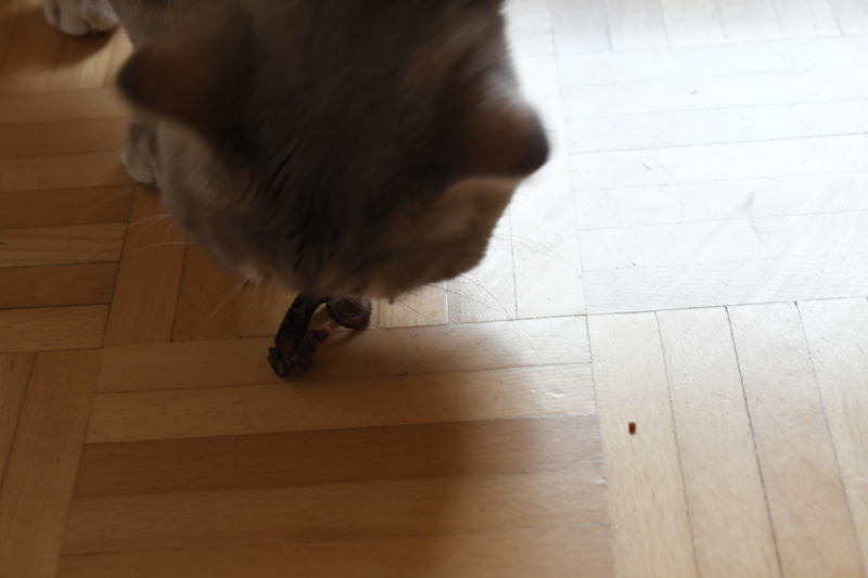 DSC_3188.JPG