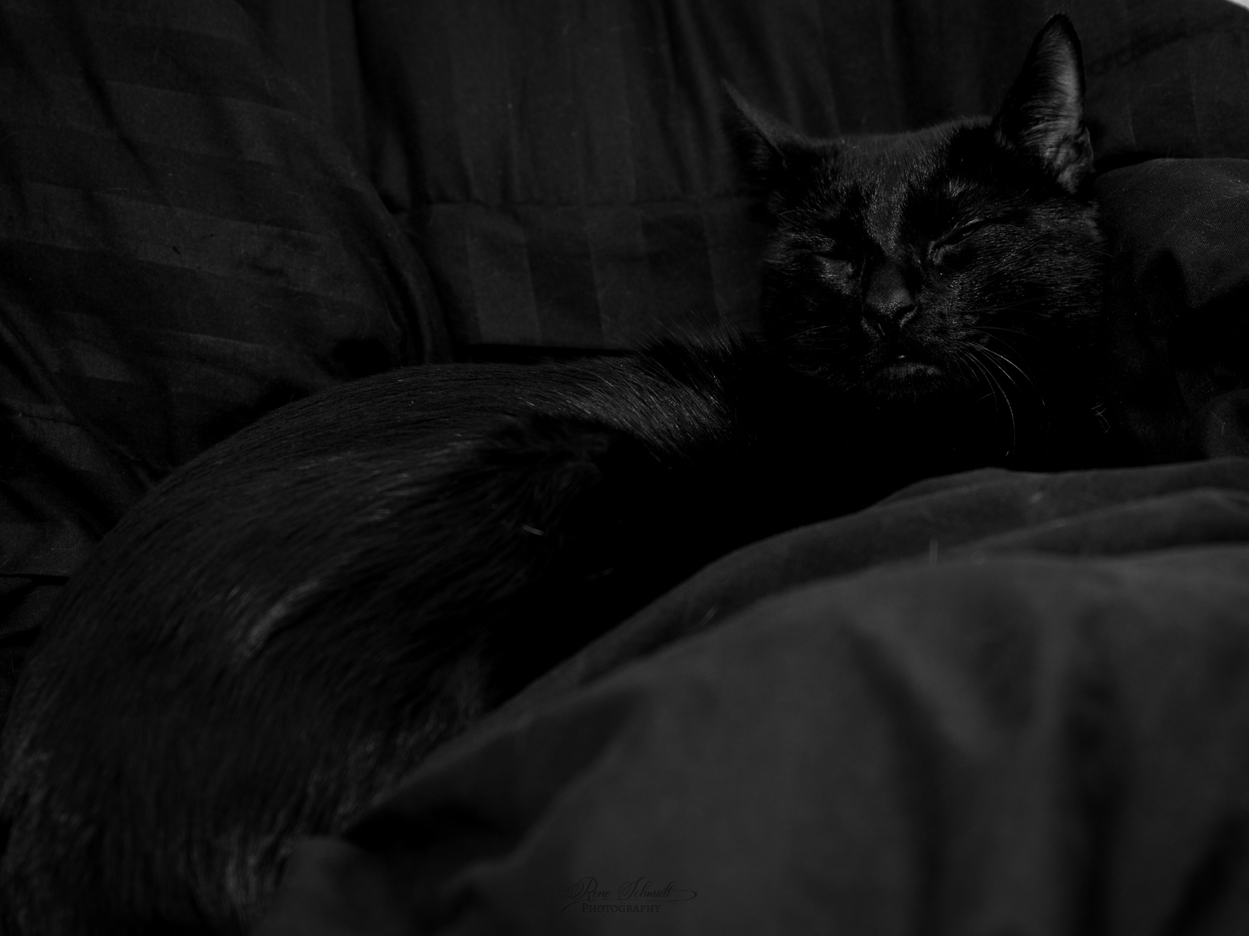 DSC_7304.jpg
