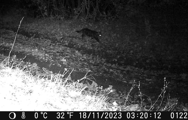 DSCF0122 - frame at 0m2s.jpg