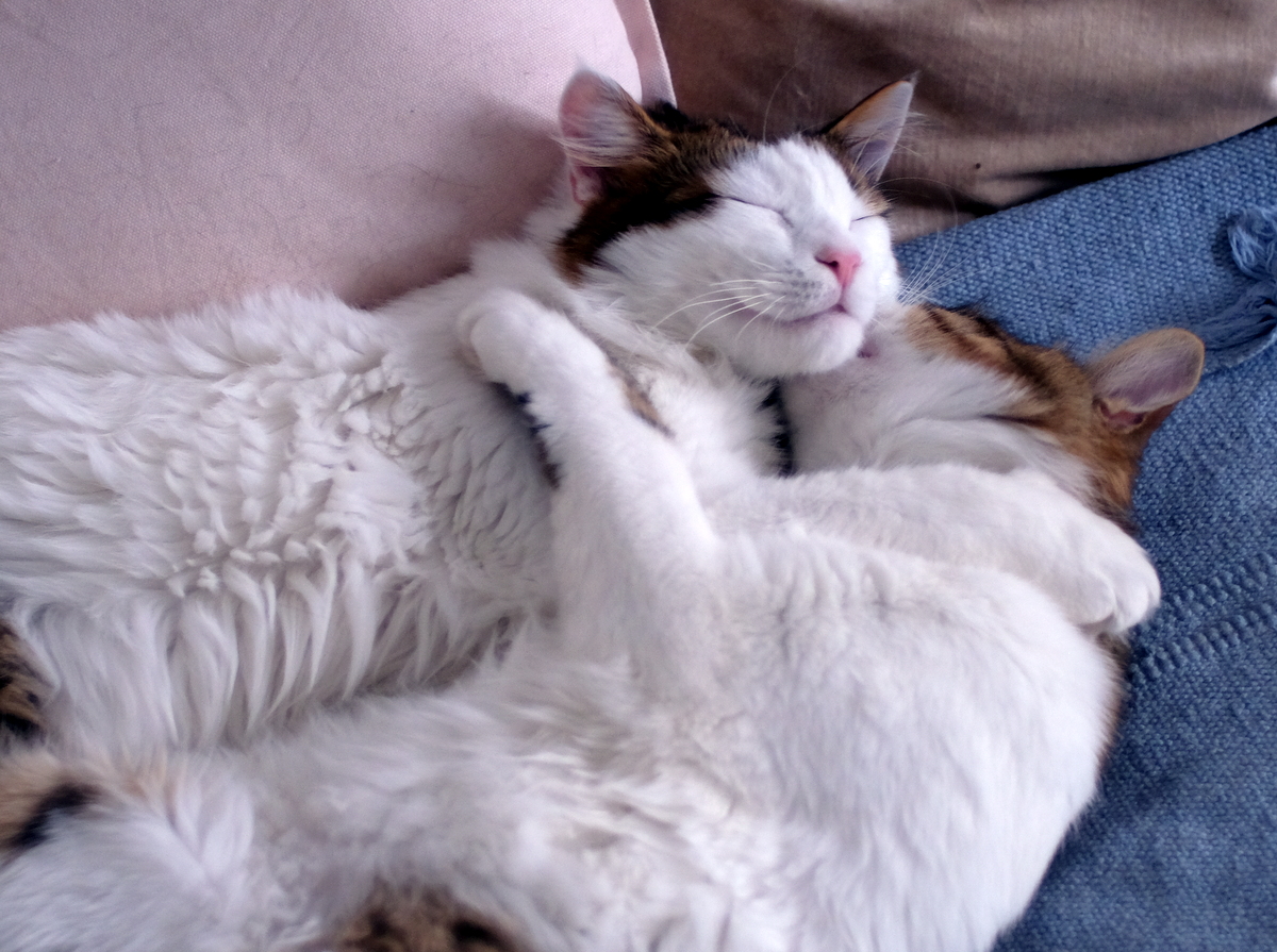 DSCF2941.JPG