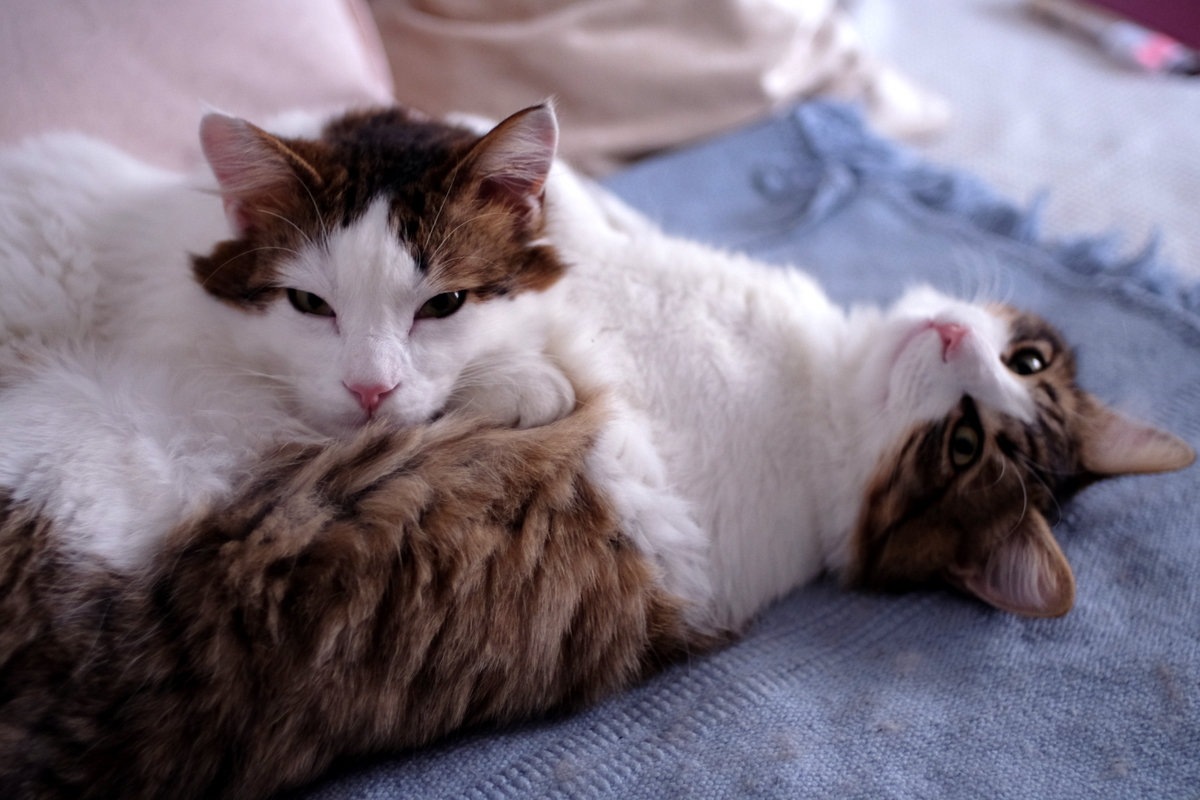DSCF2955.JPG
