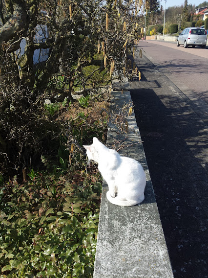 Fienchen als Statue.jpg
