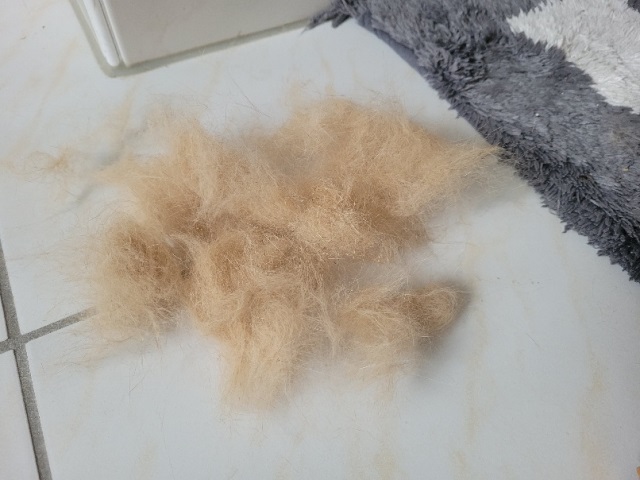 Flausch.jpg